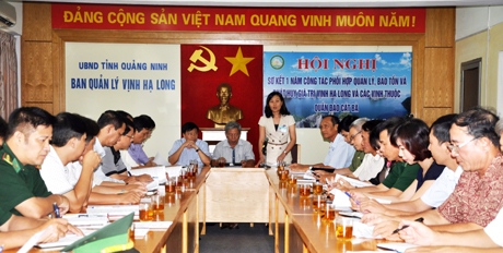 大力提高下龙湾与吉婆群岛各海湾的管理效益